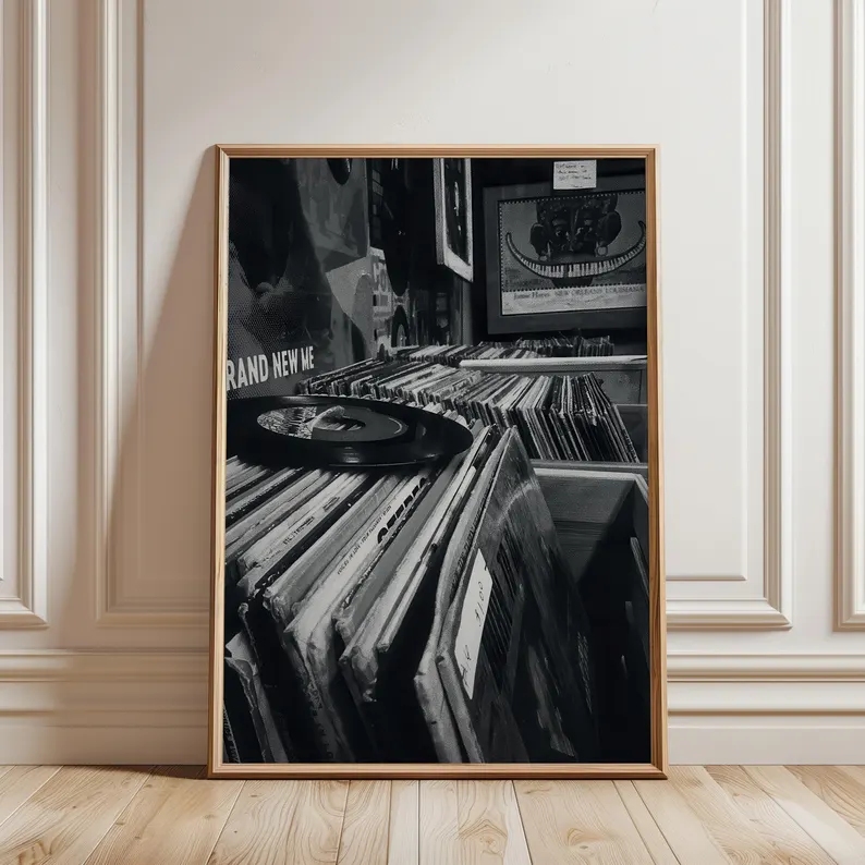 Modern Vinyl Record Store Blac - Home Decor Store review and price