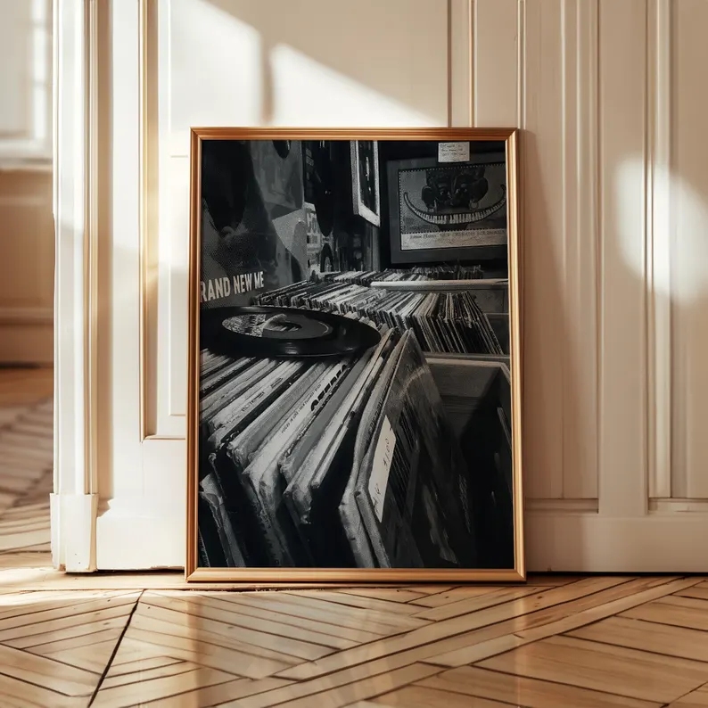 Modern Vinyl Record Store Blac - Home Decor Store review and price
