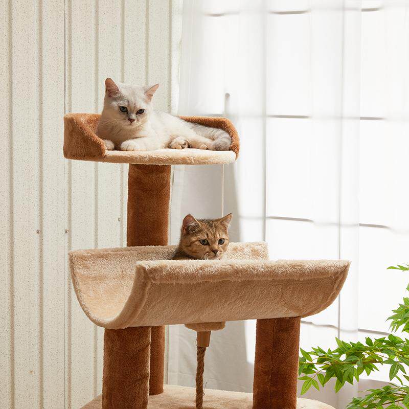 Stairs Bed Things Luxury Cat T - Home Decor Kota review and price