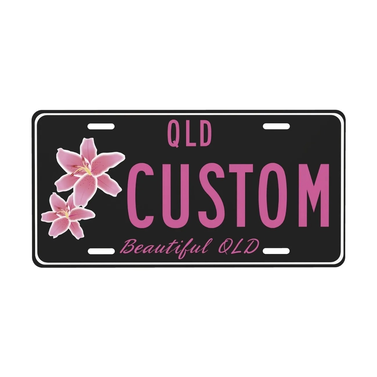 Custom Text Aluminum License P - Home Decor Theme review and price