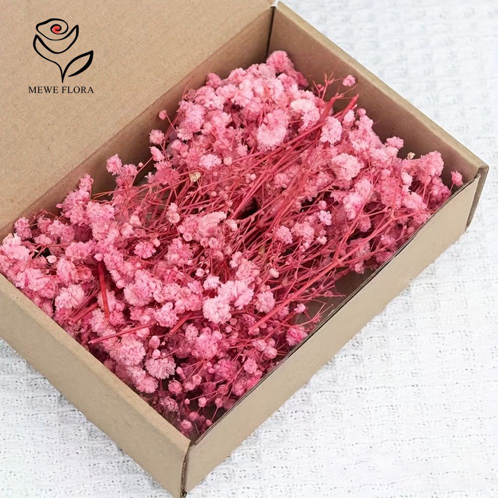 100 Small Branch Dried Baby's  - Home Decor Vase With Flowers review and price