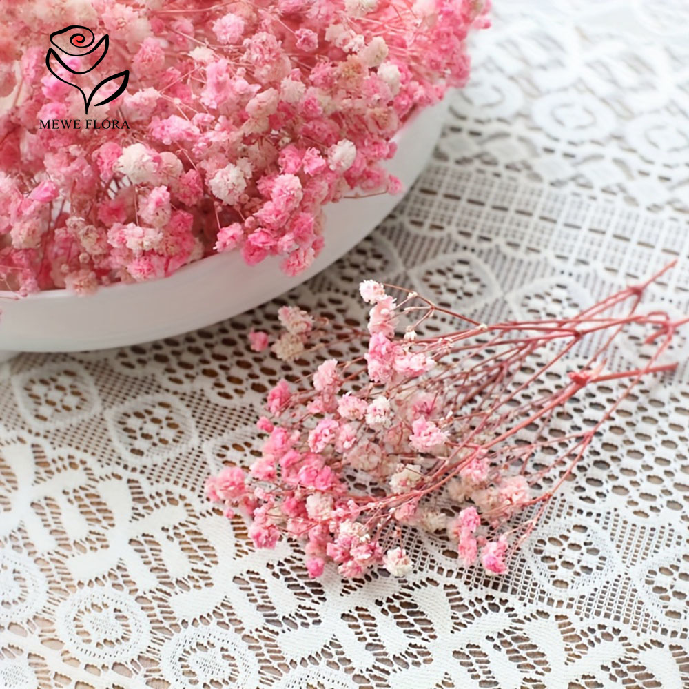100 Small Branch Dried Baby's  - Home Decor Vase With Flowers review and price